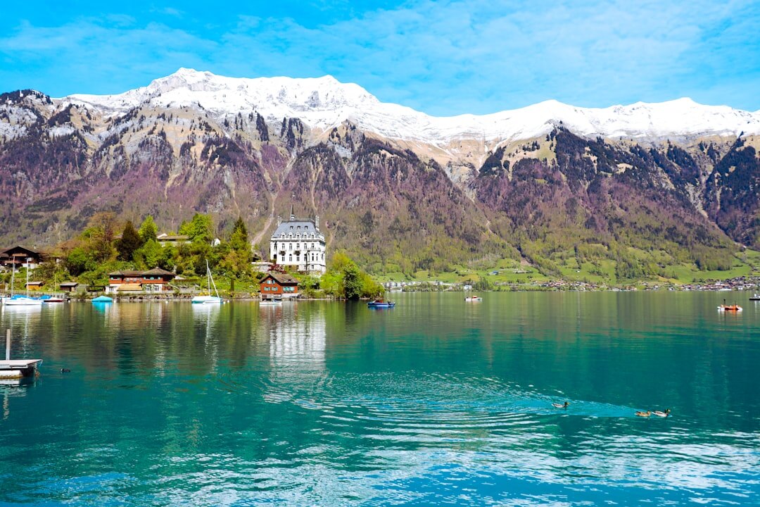 Lakeside view of the Swiss Alps and a lake shoreline in French-speaking Switzerland